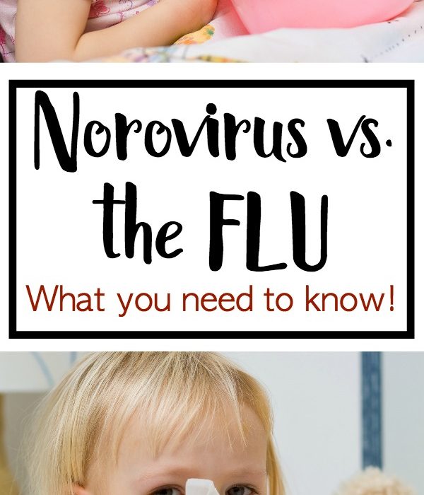 Norovirus vs. the Flu, What you need to Know