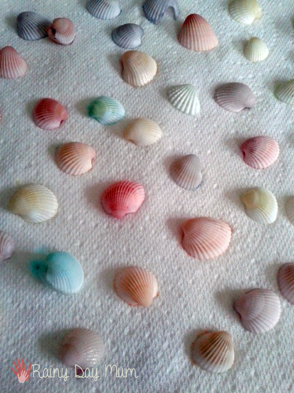 dyed-sea-shells