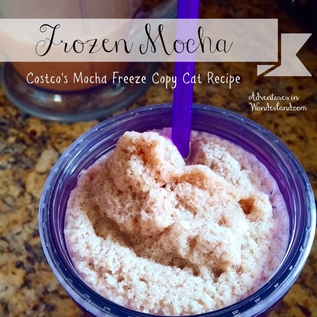 Frozen Mocha ~ Costco’s Mocha Freeze Copy Cat Recipe