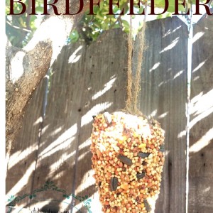 Pinecone Bird Feeder