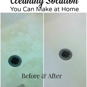 DIY cleaning solution