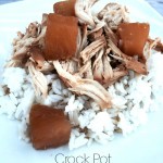 crock pot hawaiian chicken