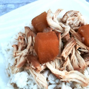 Crock Pot Hawaiian Chicken