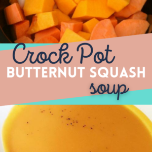 crock pot butternut squash shoup