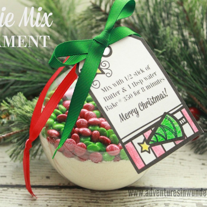 Cookie Mix Ornament Gift