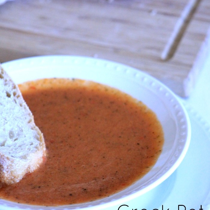 Crock Pot Creamy Tomato Vegetable Soup