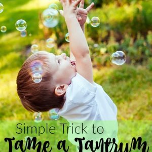 tame a tantrum and calm a child