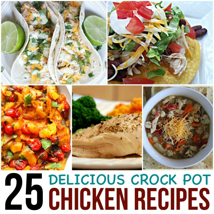 25 More Crock Pot Chicken Recipes for Easy Family Dinners