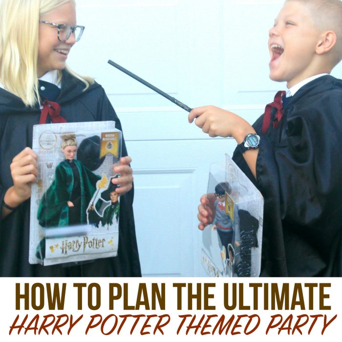 Harry Potter™ Dolls, the top gift idea for a Harry Potter Party PLUS all the best Harry Potter party ideas