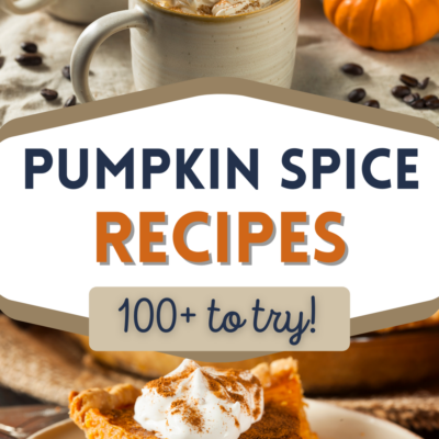 the best pumpkin spice recipes