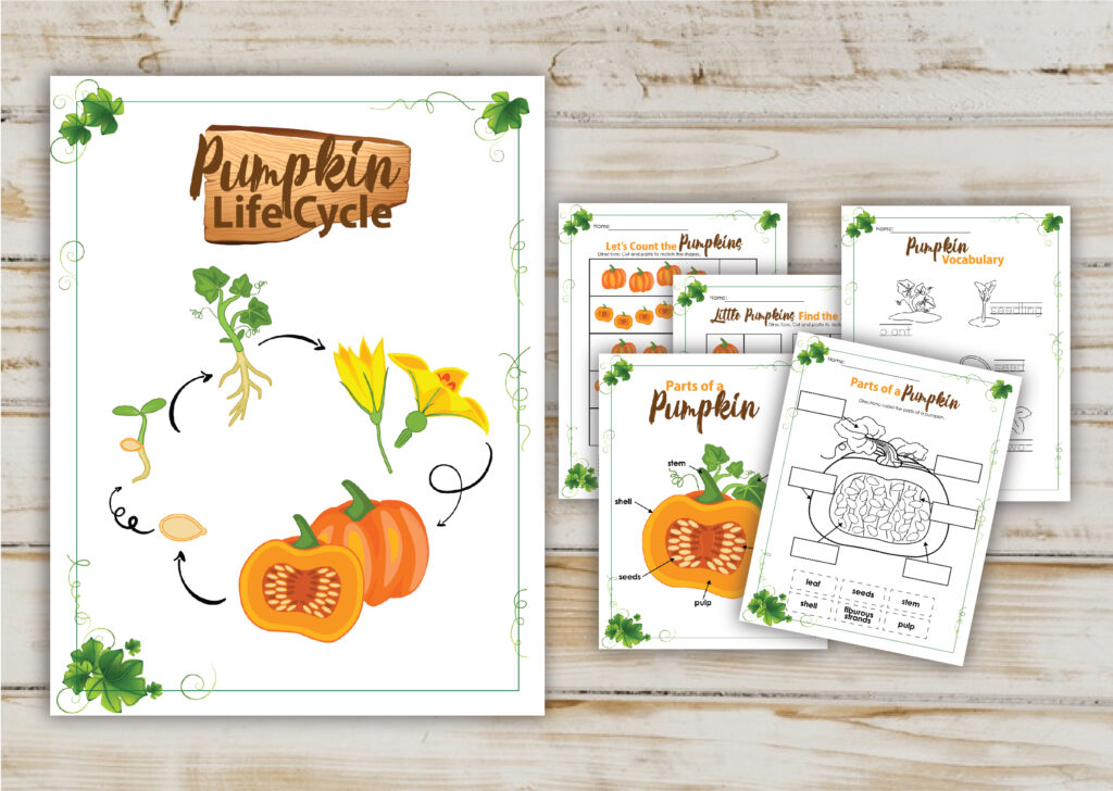 pumpkin life cycle printable activity pack